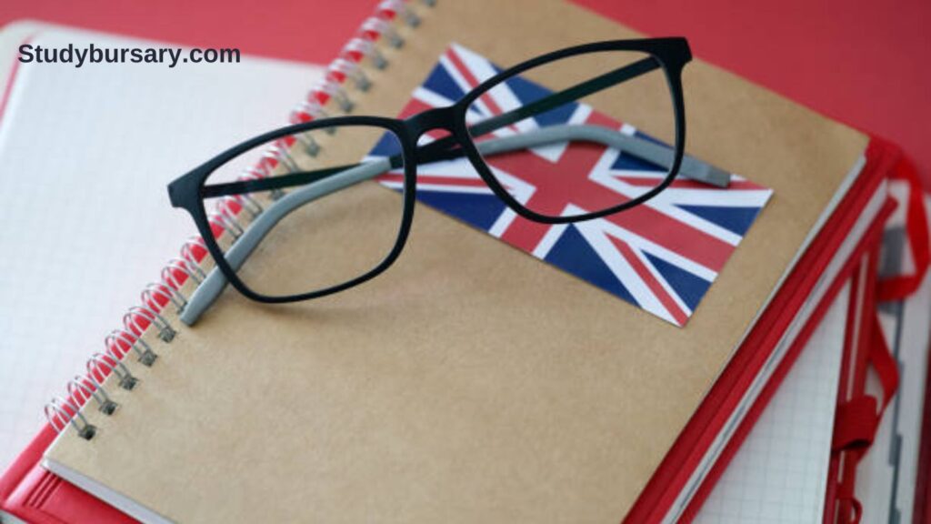 How to check UK visa status online