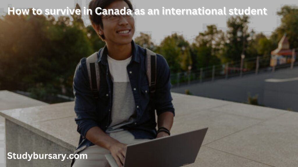 How to survive in Canada as an international student