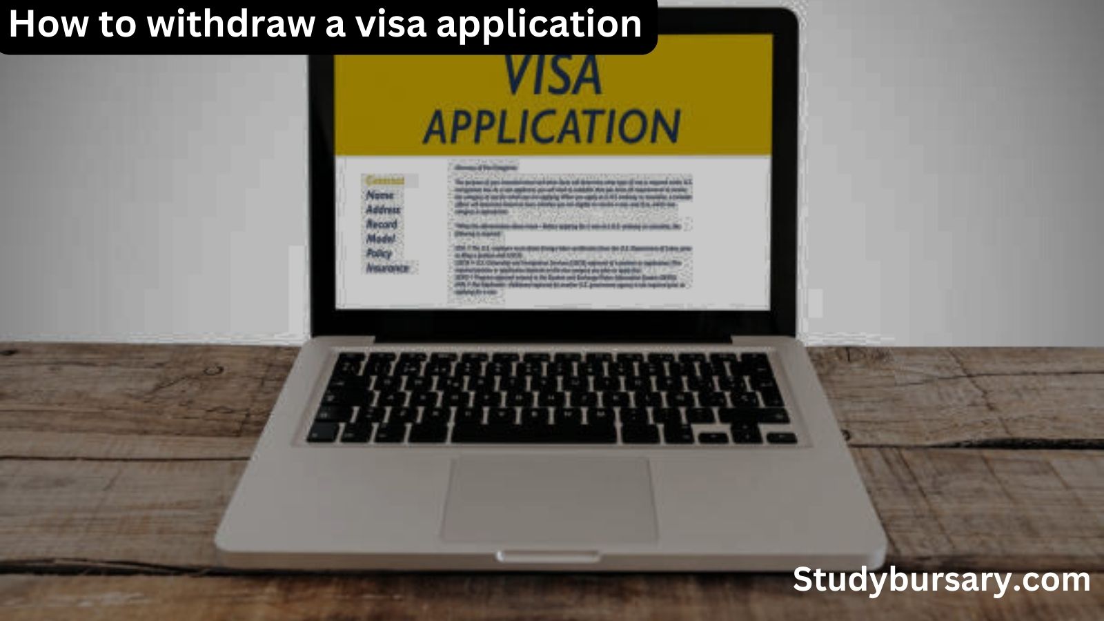 How to withdraw a visa application