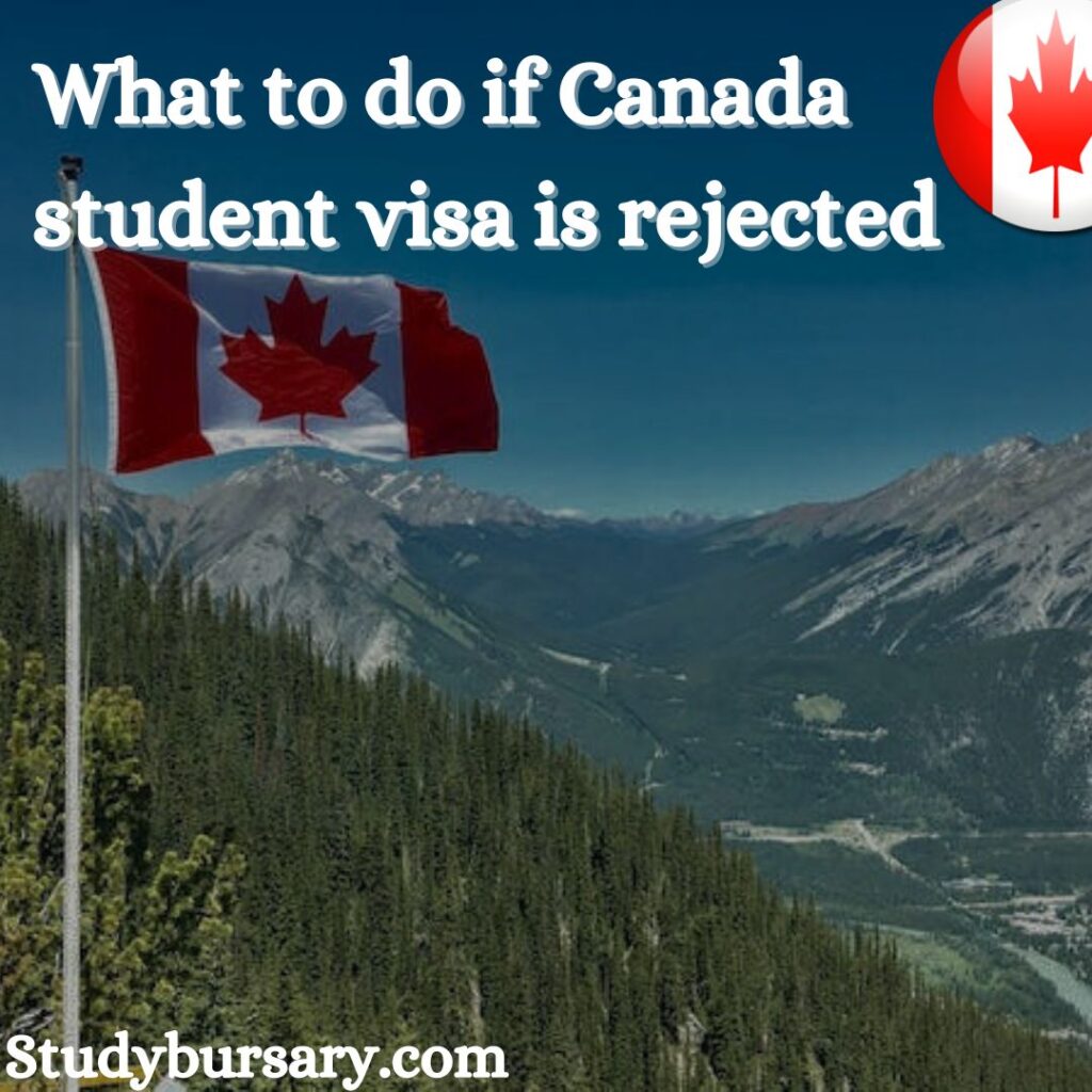 what to do if Canada student visa is rejected